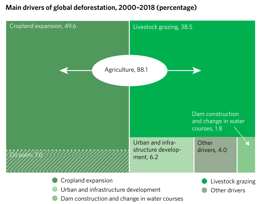 Factors of Global Deforestation